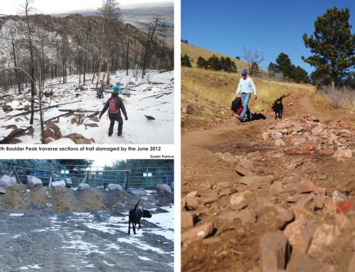 On the trail to recovery