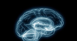 Here is what memory looks like physically