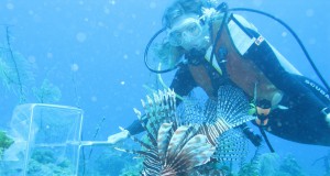 ECO BRIEFS | Week of Jan. 30