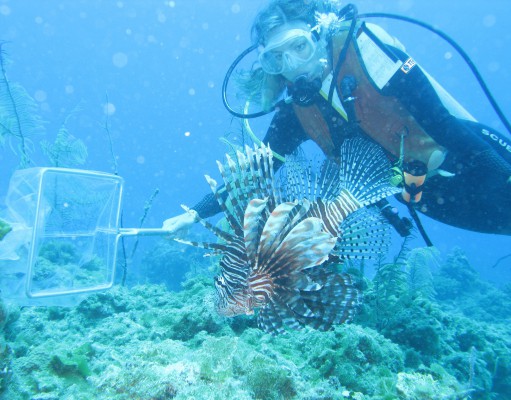 ECO BRIEFS | Week of Jan. 30