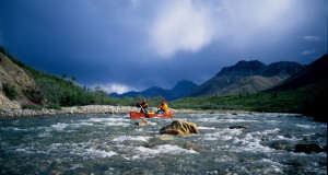 Protecting more than a postage-stamp-sized ecosystem