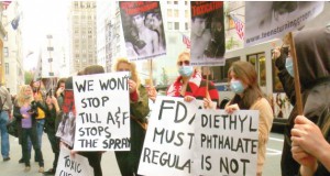 BIFF: The Human Experiment