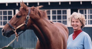 BIFF: Heads and horsetails