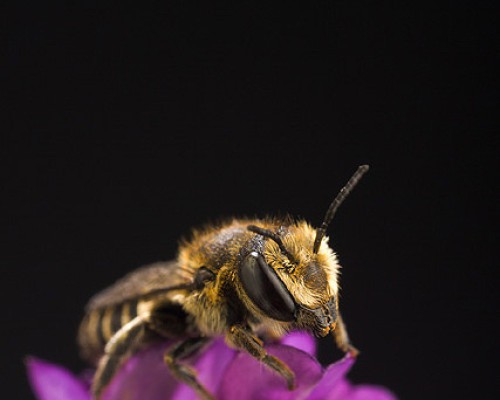 eco-briefs | Week of Feb. 20