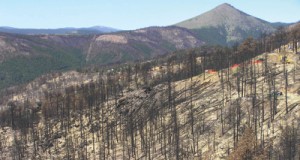 Burning down current wildfire management