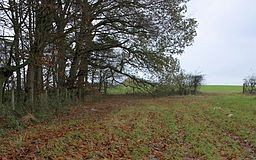 Bag fee reduces paper and plastic bag use by 68 percent