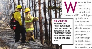 State lawmakers take baby steps to address wildfire threat