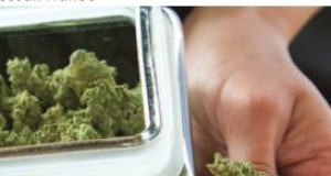 Why not base cannabis treatment on science instead of fear?