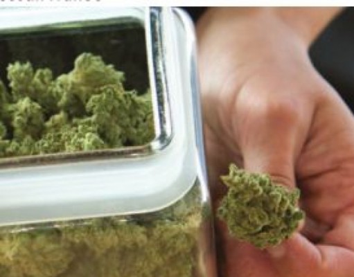 Why not base cannabis treatment on science instead of fear?