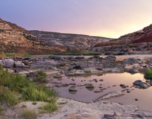 Rocky Mountain River Celebration