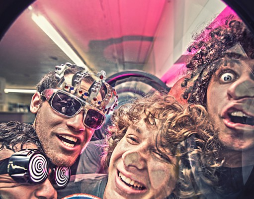 Pigeons Playing Ping Pong