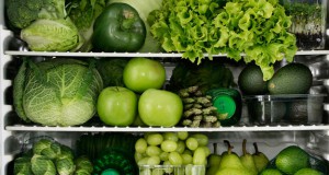 Shining a light on circadian rhythms in plants