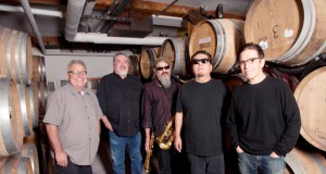 Some wolves do survive