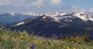 Rockies flora show climate impact