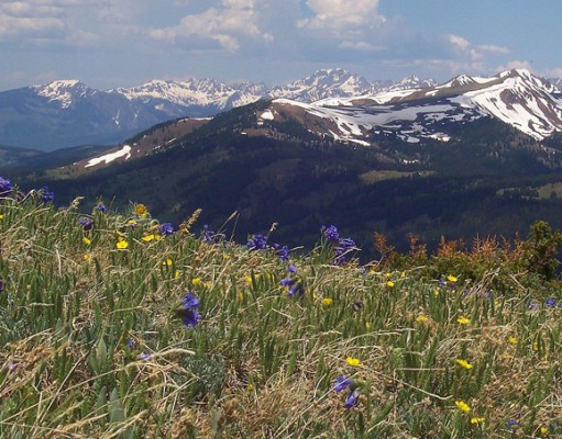 Rockies flora show climate impact