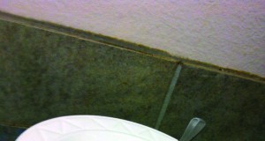 Tidbites | Week of April 3, 2014