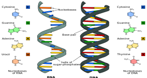The science behind the hype