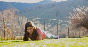 Planking into the record books