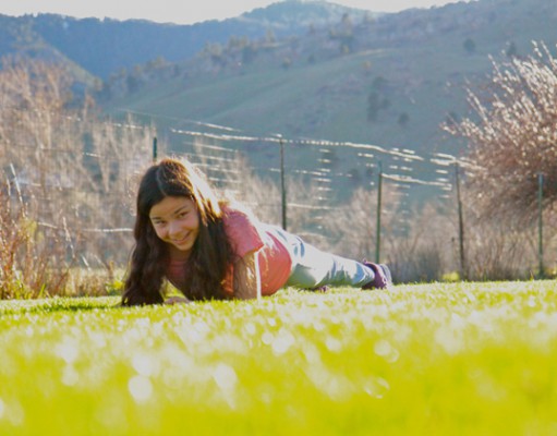 Planking into the record books