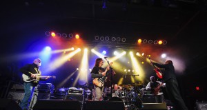 The Ringers are very highly strung