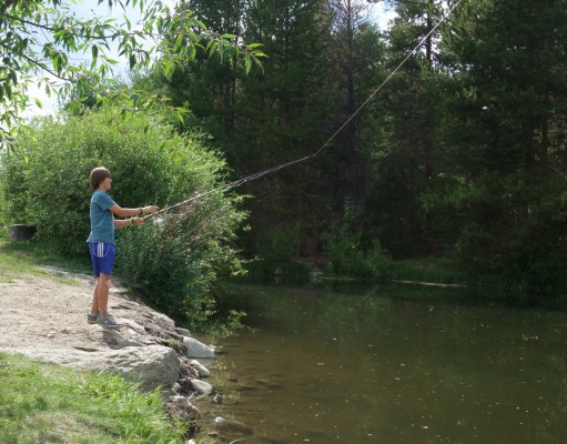Toxic trout for dinner?