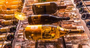 Tidbites | Week of May 22, 2014