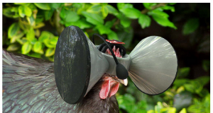 In case you missed it