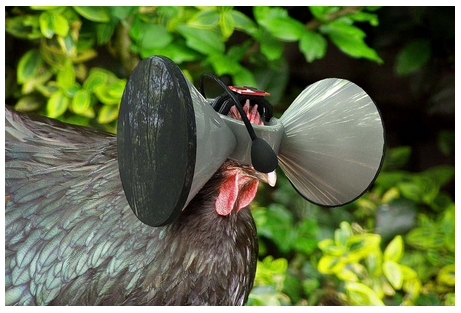 9725