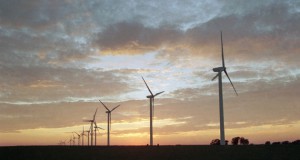 Lessons in persistence from neighboring municipal utilities