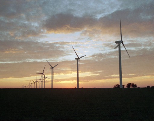 Lessons in persistence from neighboring municipal utilities