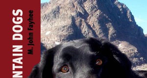 Words | Week of June 19, 2014