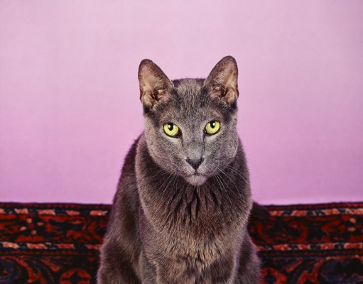 Arts | Week of June 19, 2014