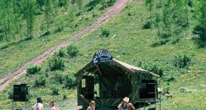 Forty years of festivation