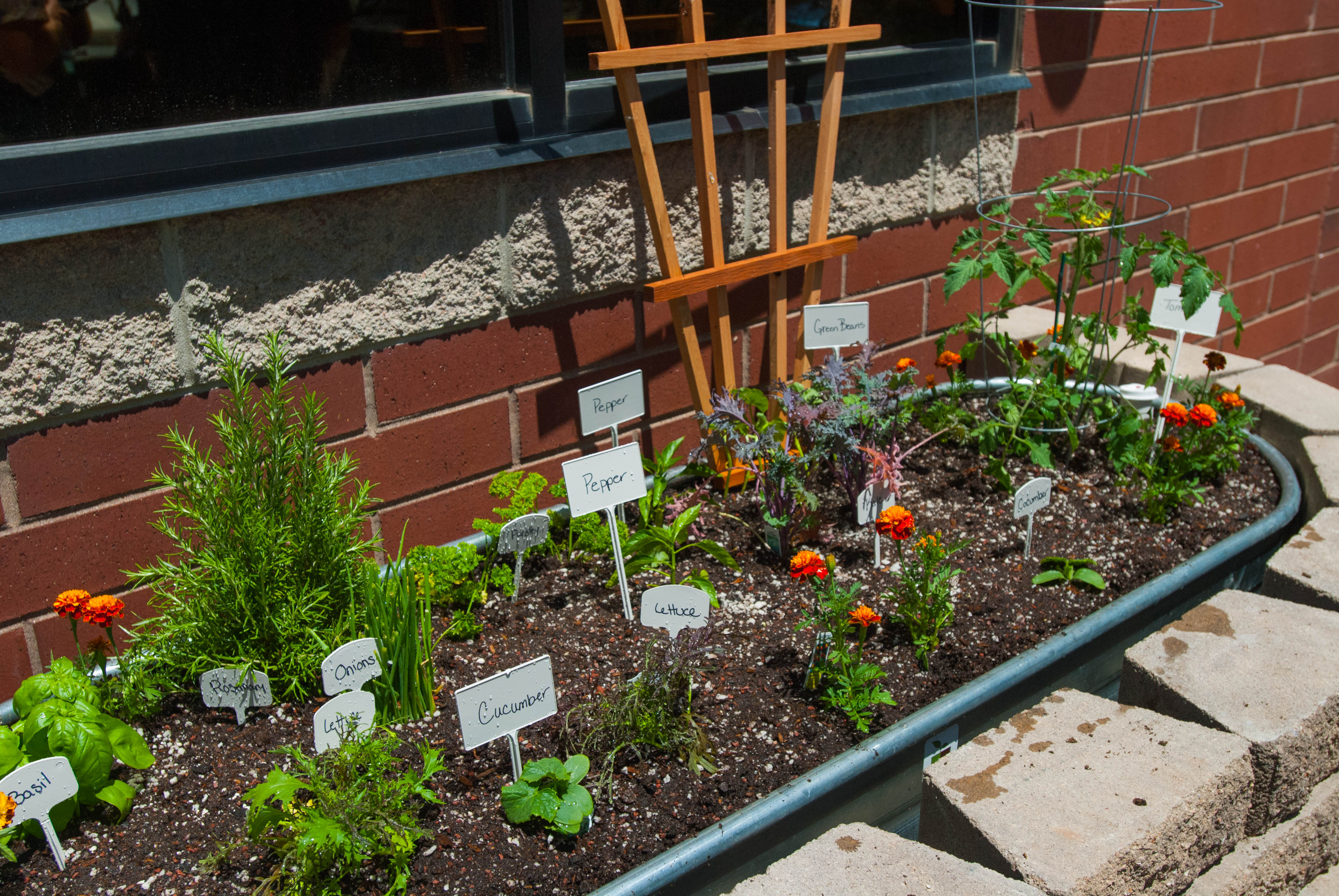 Corporate gardening for a sustainable world