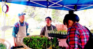 Feeding the Front Range