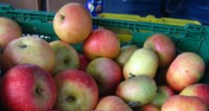 The apple doesn’t fall far