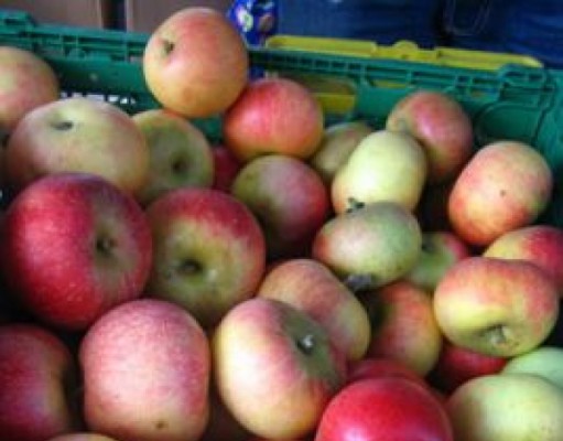 The apple doesn’t fall far