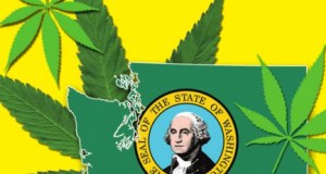 Washington takes a different path to cannabis