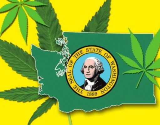 Washington takes a different path to cannabis