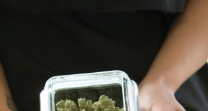 Weed between the lines