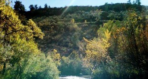 Hope on the St. Vrain