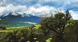 Global warming meltdown in the Rockies?