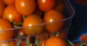 Warming something up