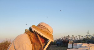 Tidbites | Week of Sept. 4, 2014