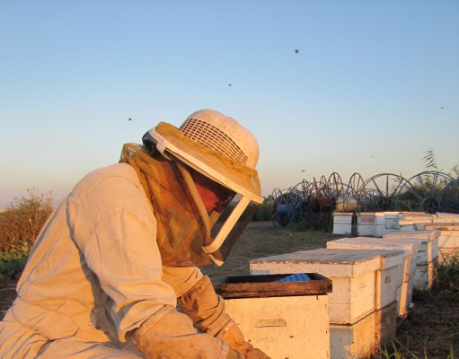 Tidbites | Week of Sept. 4, 2014