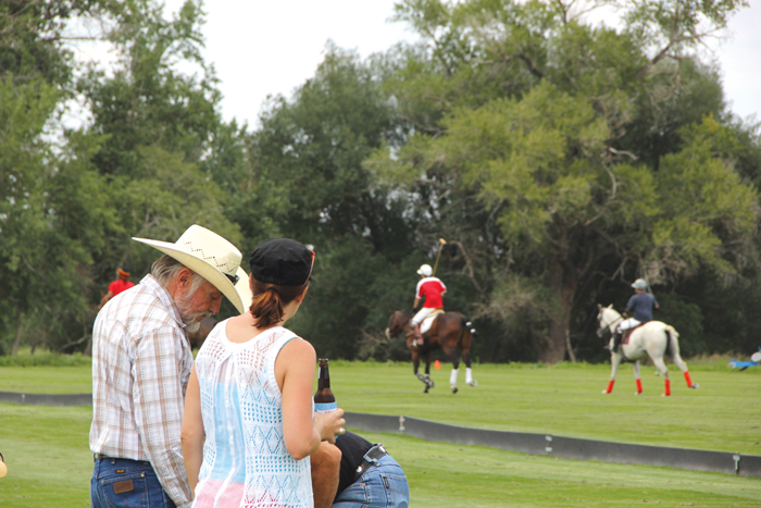 The sport of knaves