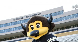 To tap or not to tap?