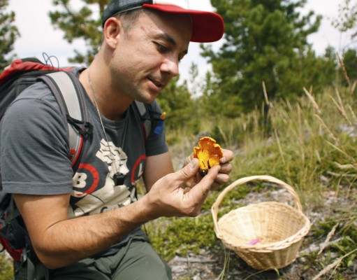 Mushroom hunter