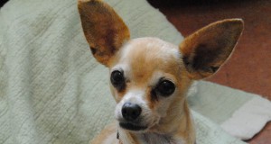 Tidbites | Week of Sept. 25, 2014