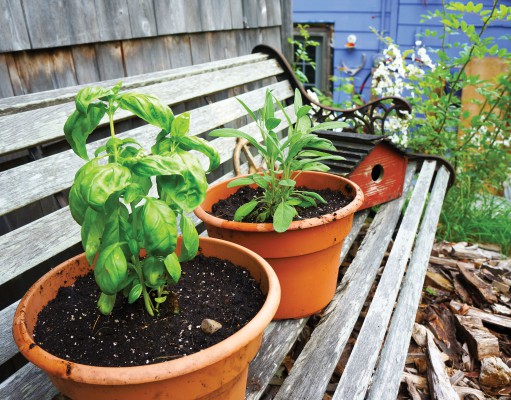 The dirt on reusing soil